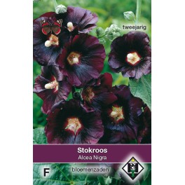 Alcea rosea Nigra