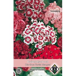 Dianthus barbatus Florist Mengsel