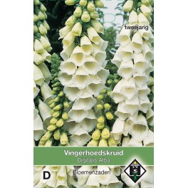 Digitalis purpurea Alba