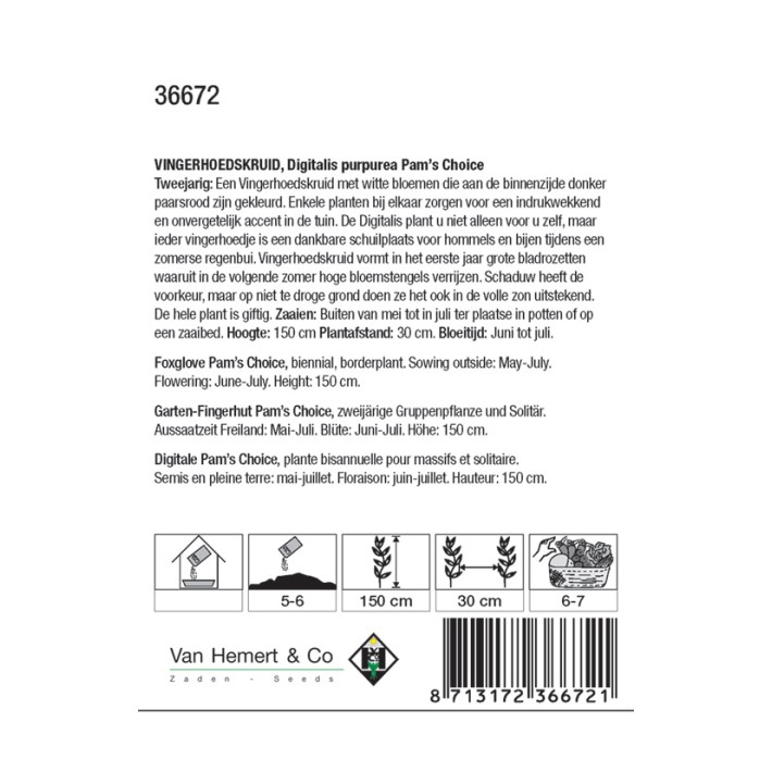 Digitalis purpurea Pam's Choice