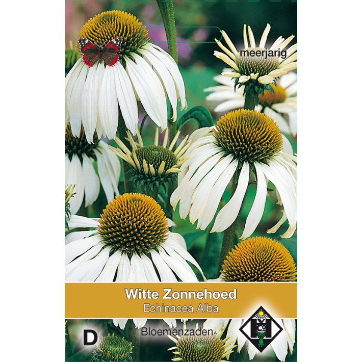 Echinacea purpurea Alba