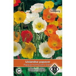Papaver nudicaule Kelmscott's Giants