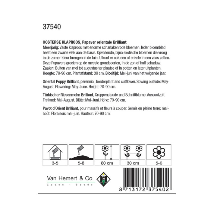 Papaver orientale Brilliant