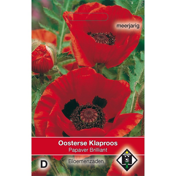 Papaver orientale Brilliant