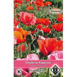 Papaver orientale Pizzicato