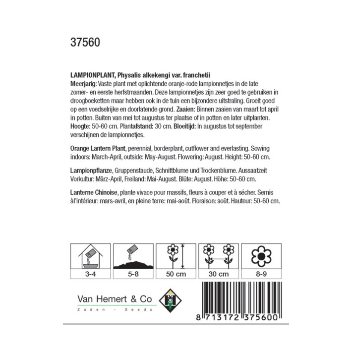 Physalis alkekengi franchetii