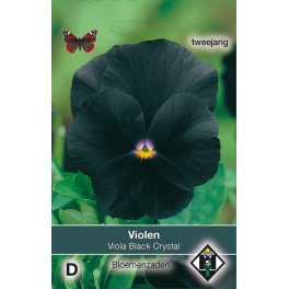Viola x wittrockiana Black Cristal