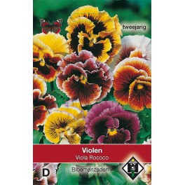 Viola x wittrockiana Rococo