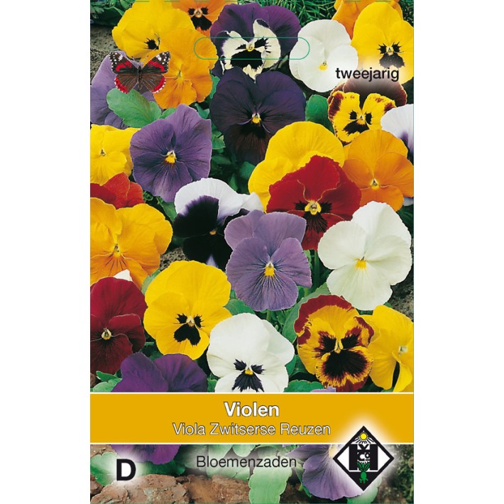 Viola x wittrockiana Zwitserse Reuzen