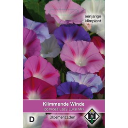 Ipomoea purpurea Lazy Luxe Mix