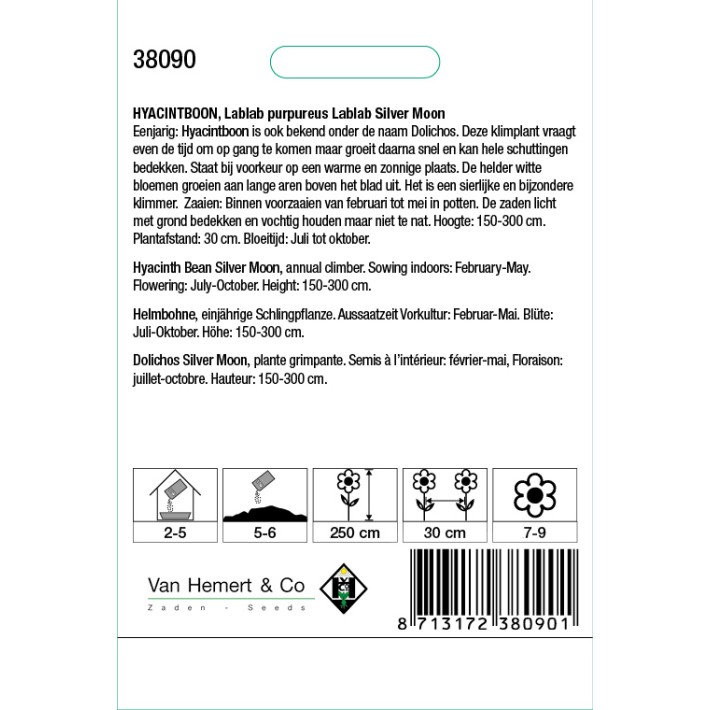 Lablab purpureus Silver Moon