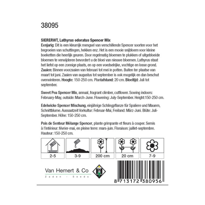 Lathyrus odoratus Spencer Mix