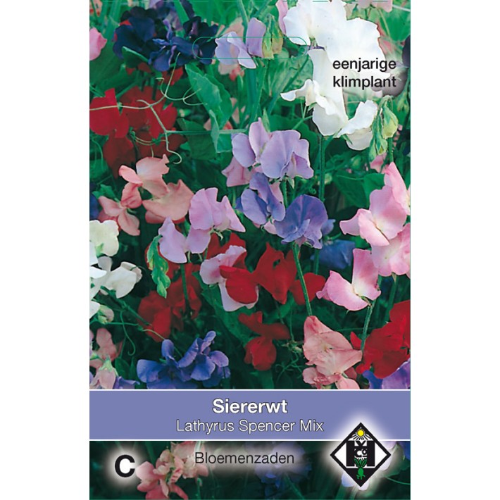 Lathyrus odoratus Spencer Mix