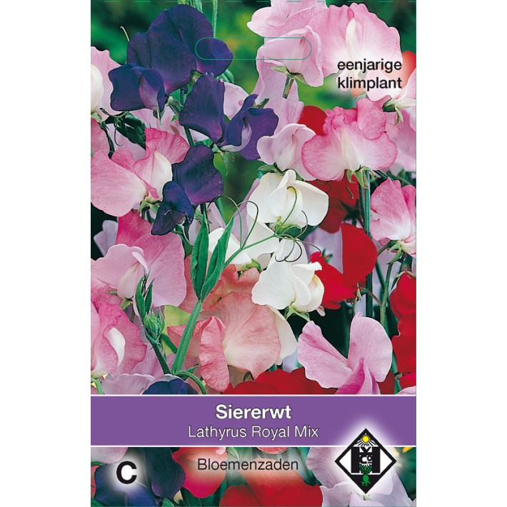 Lathyrus odoratus Royal Mix