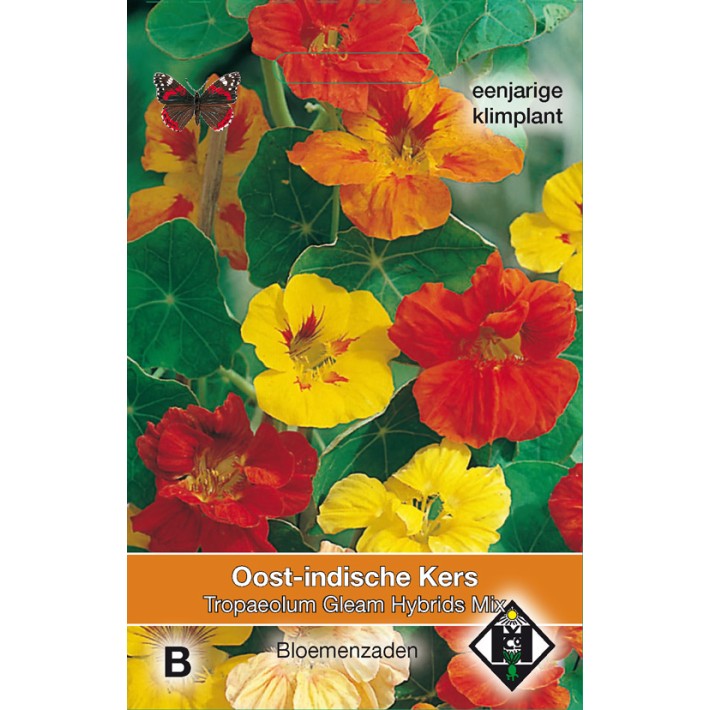 Tropaeolum majus Gleam Hybrids Mix