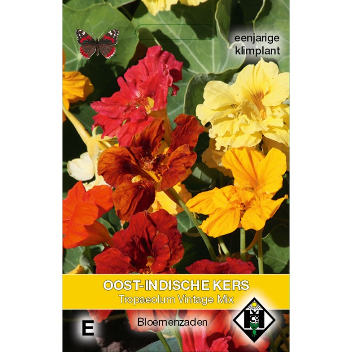 Tropaeolum majus Vintage Mix