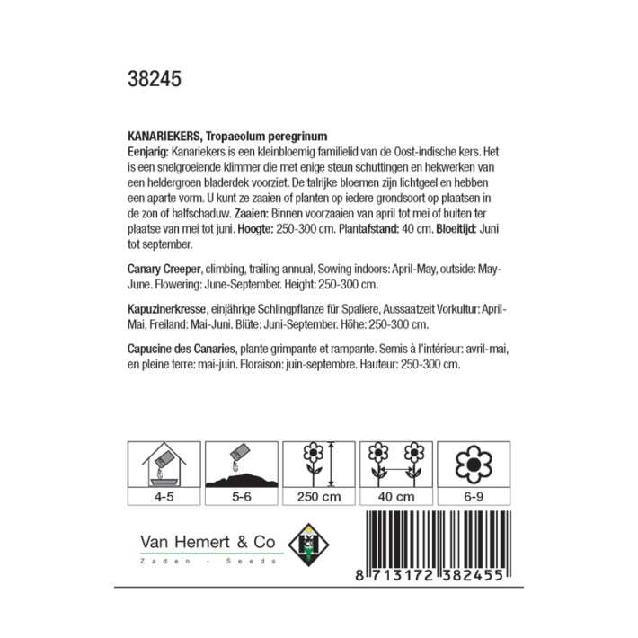 Tropaeolum peregrinum
