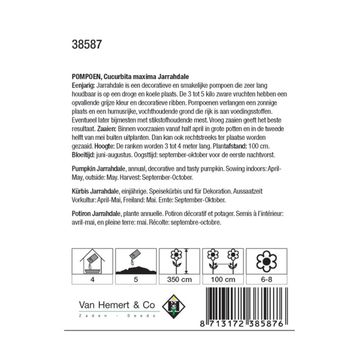 Cucurbita maxima Jarrahdale