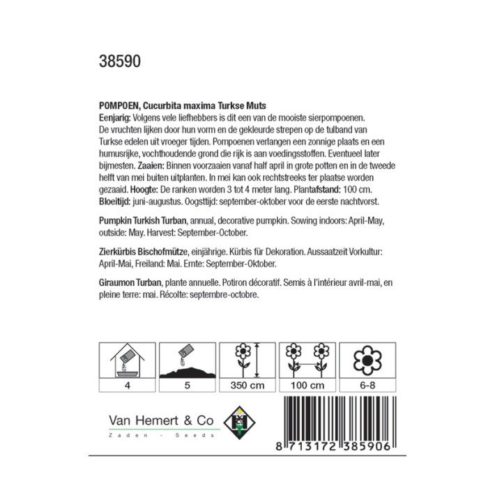 Cucurbita maxima Turkse Muts