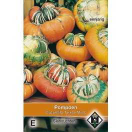 Cucurbita maxima Turkse Muts