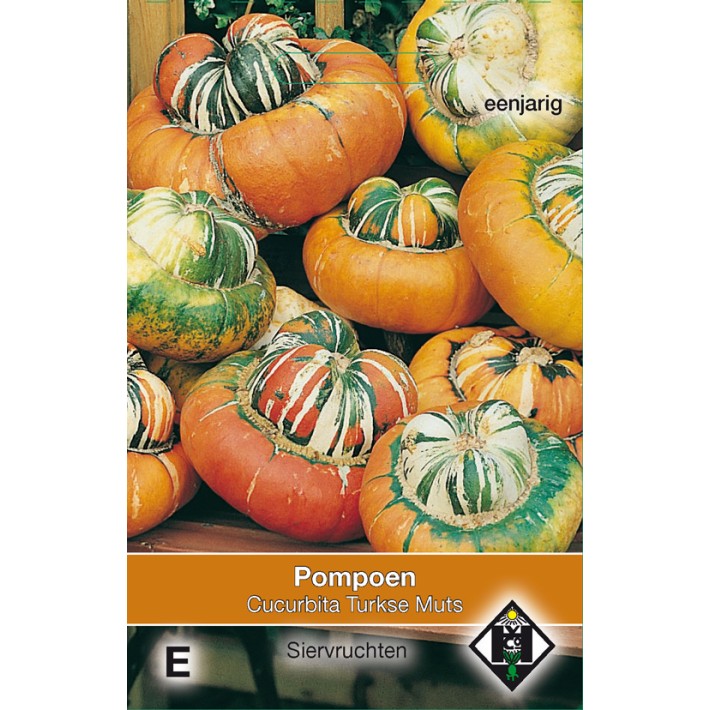 Cucurbita maxima Turkse Muts