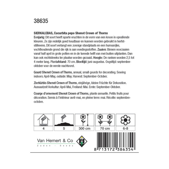 Cucurbita pepo Shenot Crown of Thorns