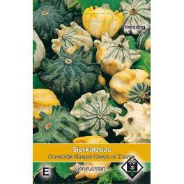 Cucurbita pepo Shenot Crown of Thorns