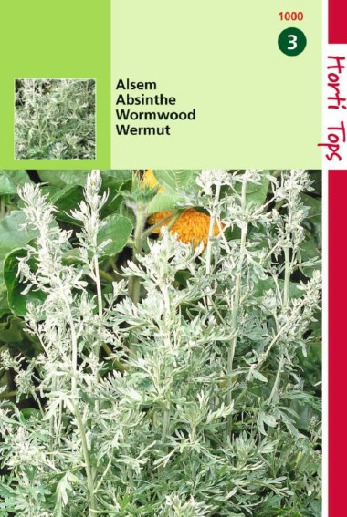 Absint, alsem (Artemisia absinthium) 4000 zaden