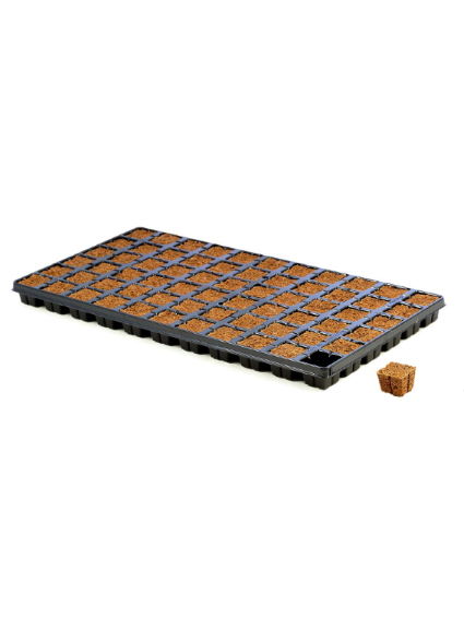 Eazy Plug Tray CT66 66-Cell 52x26x3cm