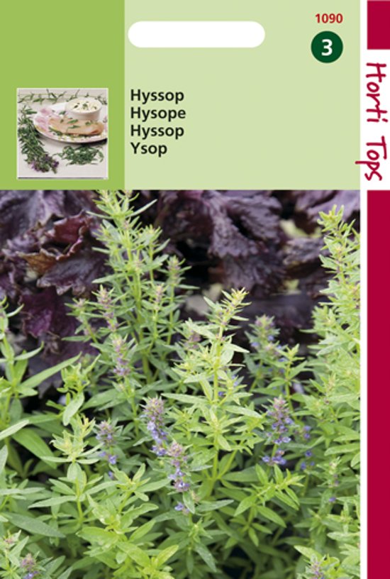 Hyssop (Hyssopus officinalis) 1000 seeds
