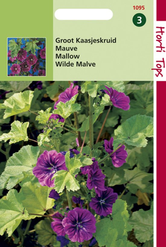 Wilde Malve (Malva sylvestris) 150 Samen