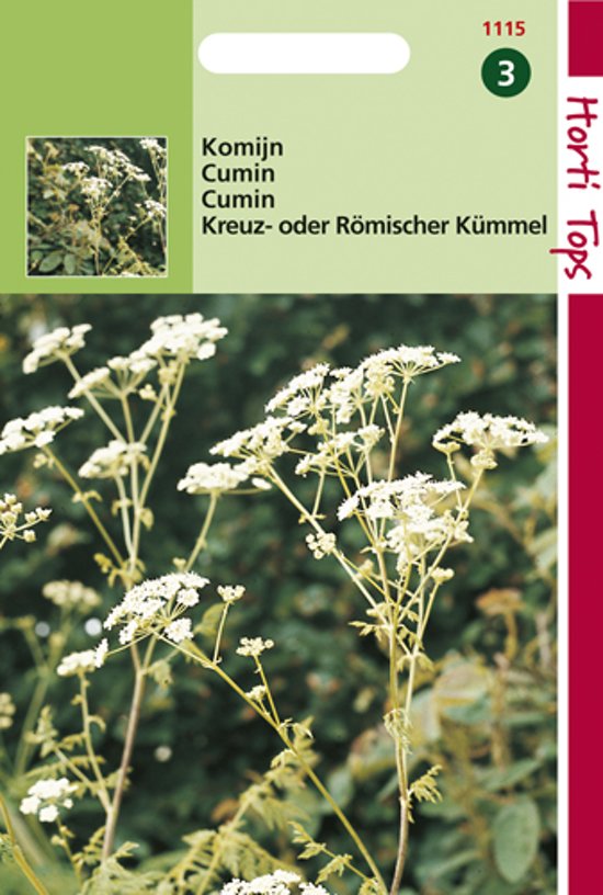 Kreuzkmmel (Cuminum cyminum) 600 Samen