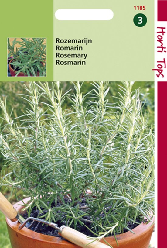Rozemarijn (Rosmarinus officinalis) 180 zaden