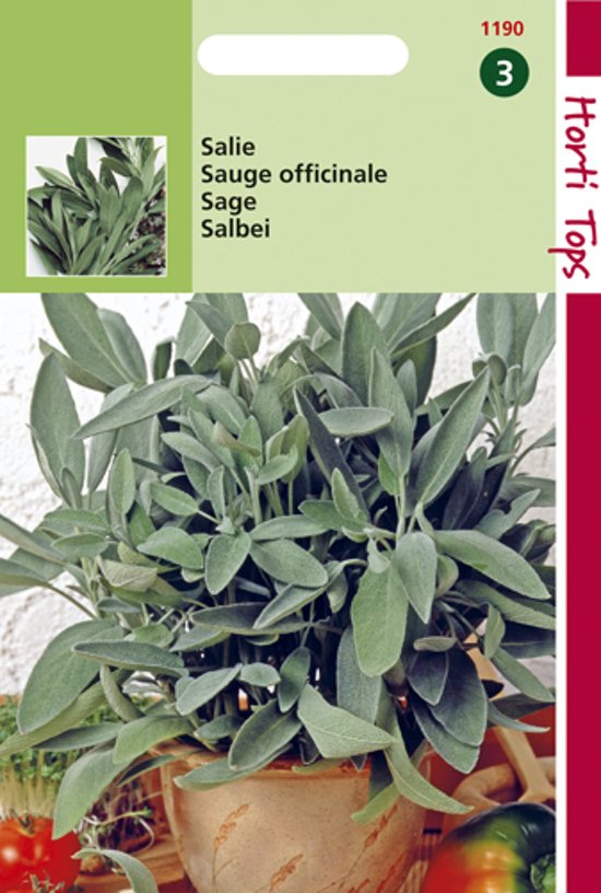 Sage (Salvia officinalis) 130 seeds