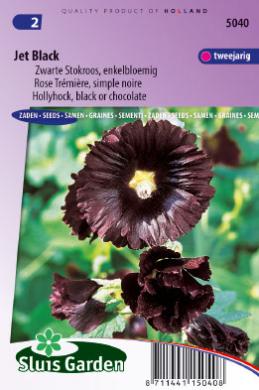 Hollyhock Nigra Jet Black (Alcea rosea) 55 seeds