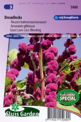 Giant love-Lies-Bleeding Dreadlocks (Amaranthus) 225 seeds