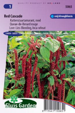 Fuchsschwanz Red Cascade (Amaranthus) 1500 Samen