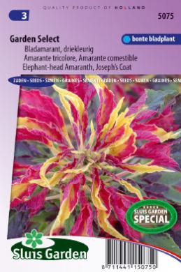 3-kleuren amarant Garden Select (Amaranthus) 175 zaden