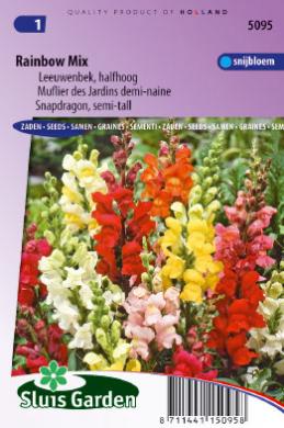 Snapdragon Rainbow Mix (Antirrhinum) 2200 seeds