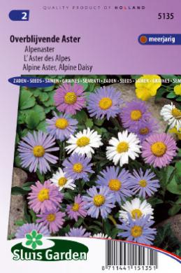 Alpen-Aster Mix (Aster alpinus) 165 Samen