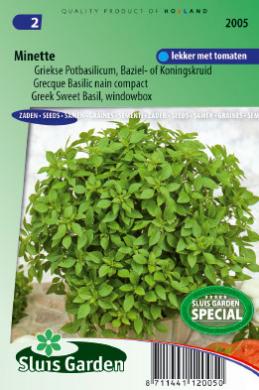 Baslilkum Minette (Ocimum basilicum) 300 Samen
