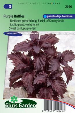 Baslilkum Purple Ruffles (Ocimum basilicum) 210 Samen SL