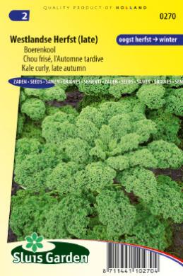 Boerenkool Westlandse herfst (Brassica) 500 zaden SL