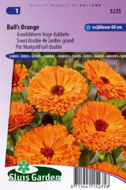 Pot Marigold Orange Ball (Calendula) 170 seeds SL
