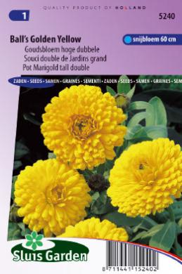 Pot Marigold Yellow Ball (Calendula) 170 seeds
