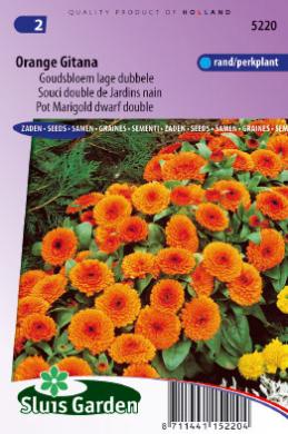 Pot Marigold Orange Gitana (Calendula) 90 seeds