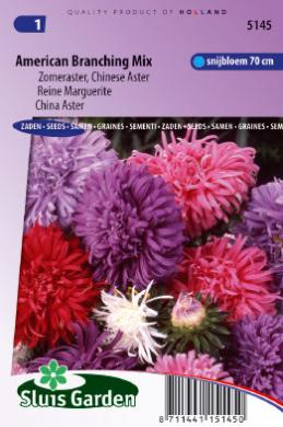 China aster American Branching Mix  (Callistephus) 270 seeds