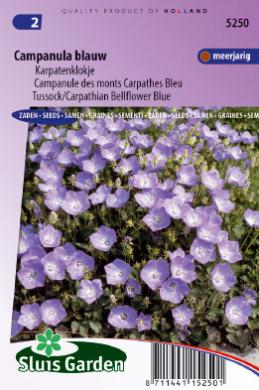 Karpaten-Glockenblume (Campanula carpatica) 2500 Samen SL