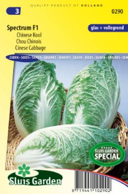 Chinese kool Spectrum F1 (Brassica) 160 zaden