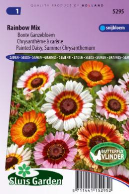 Wucherblume Rainbow Mix (Chrysanthemum) 250 Samen SL